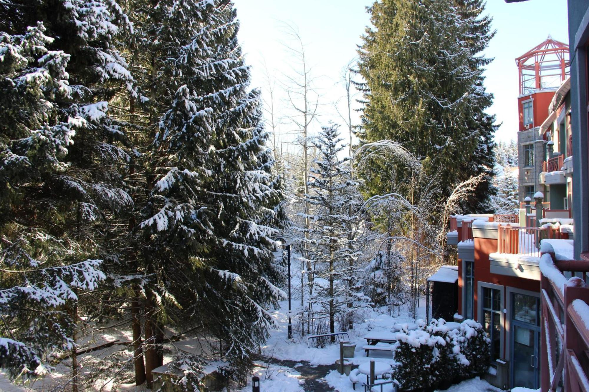Alpenglow Lodge Studio With Pool Views By Mva Whistler Buitenkant foto